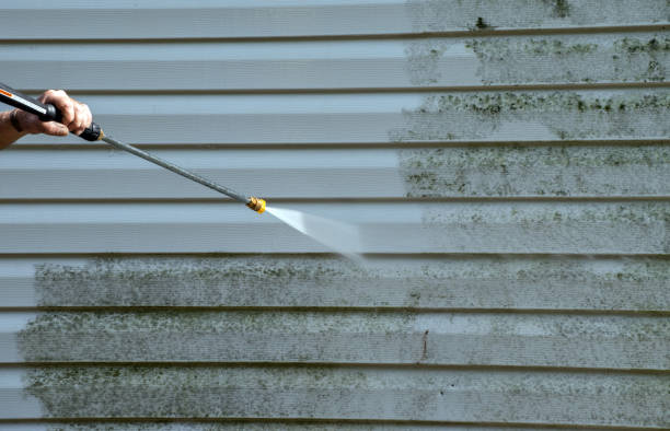 Best Deck Cleaning Services  in New Town, ND