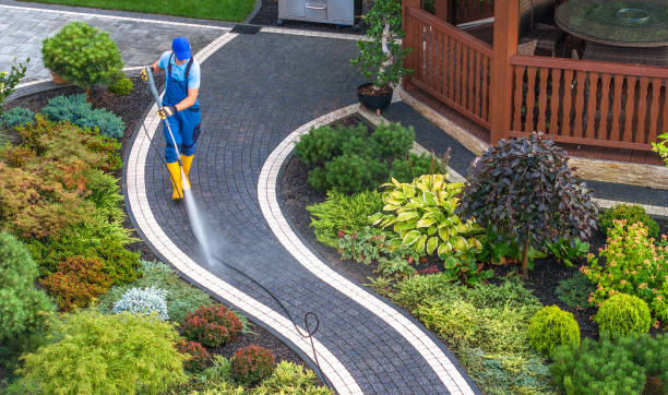 Best Exterior Home Cleaning  in New Town, ND
